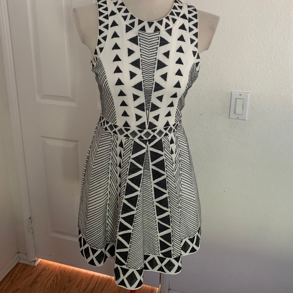 Beautiful Parker dress, embroidered like material.